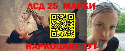 ГАЛЛЮЦИНОГЕННЫЕ ГРИБЫ Тверь