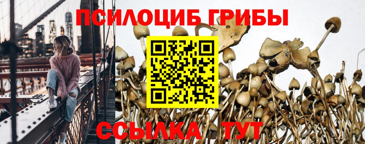 Галлюциногенные грибы GOLDEN TEACHER Серов