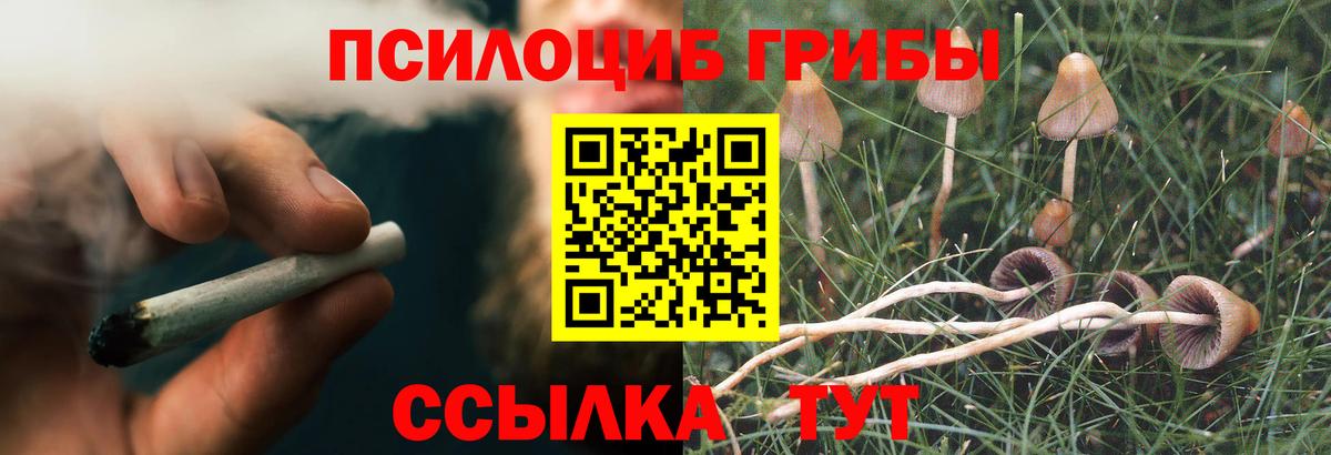 Серов  Галлюциногенные грибы Psilocybe  где найти   Вход с VPN 